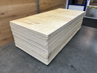 12MM 110x228 CM multiplex gebruikt