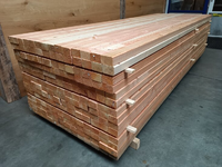 45x70mm Douglas geschaafd 400cm