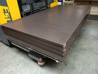 15MM Berken betonplex Anti slip 153x305cm