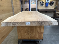 Suar boomstam tafelblad H19 100 x 220cm, unieke en massieve tafelblad