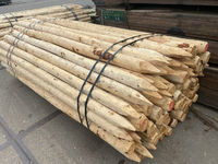 Naaldhout Onbehandeld 300CM KOP 9-10
