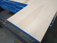20x260MM 245 CM Essen