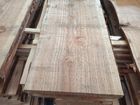 22MM Douglas schaaldelen 500 CM