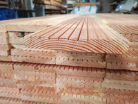 25x190MM  Antislip 400 CM Douglas