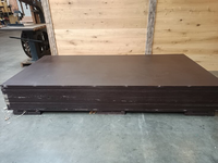 15MM 153X305cm Eucalyptus betonplex  glad