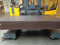 18MM  Berken betonplex Anti slip 125x250cm